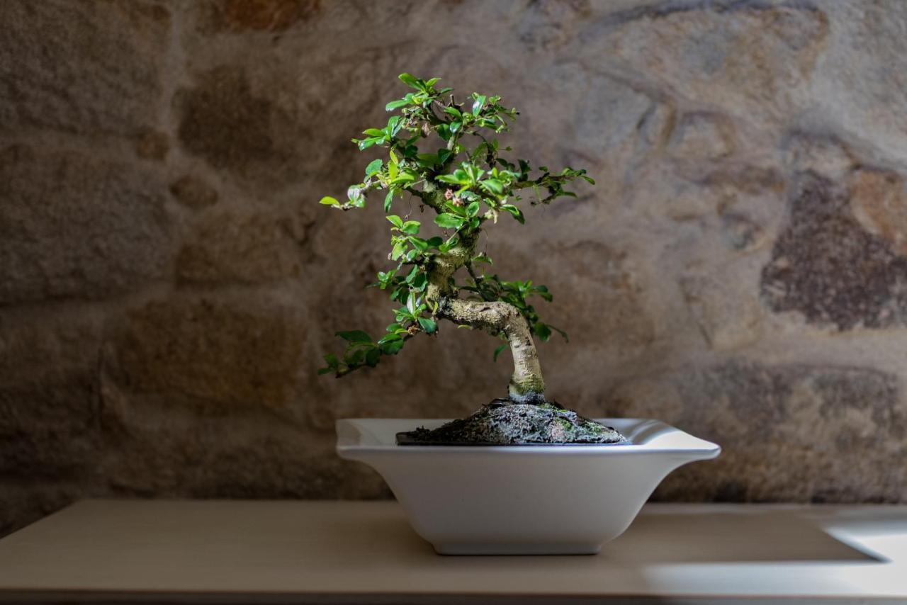 Apartmán Casa De Sao Miguel Aldeia de João Pires Exteriér fotografie